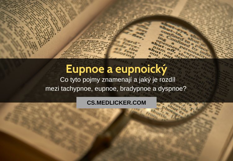 Jaký je význam pojmů eupnoe a eupnoický?