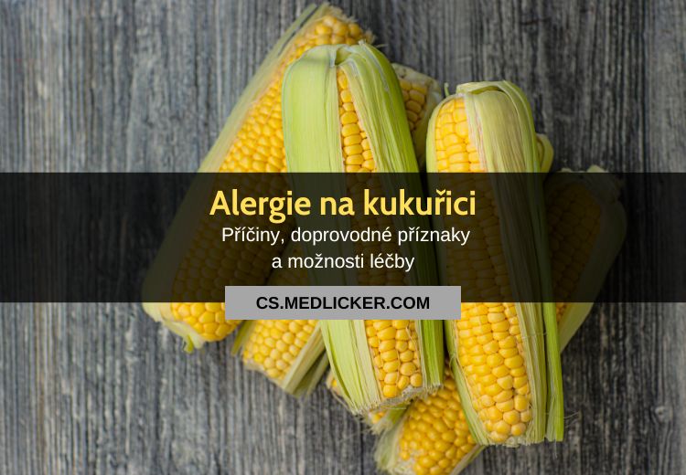 Alergie na kukuřici