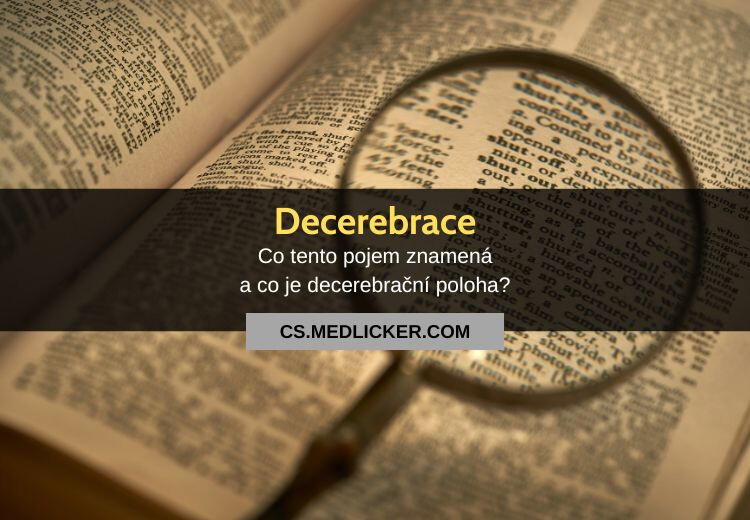 Decerebrace: definice a příklady použití
