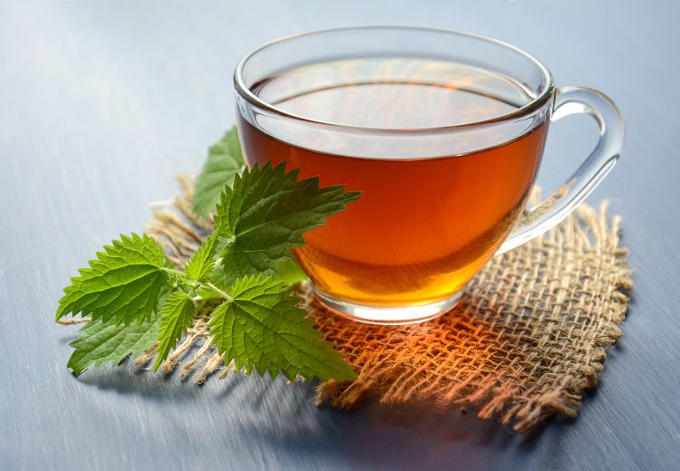 Pravidelné pití mátového čaje je vhodné i pro diabetiky
